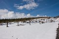 Snow at Knockballyroney - April 2010